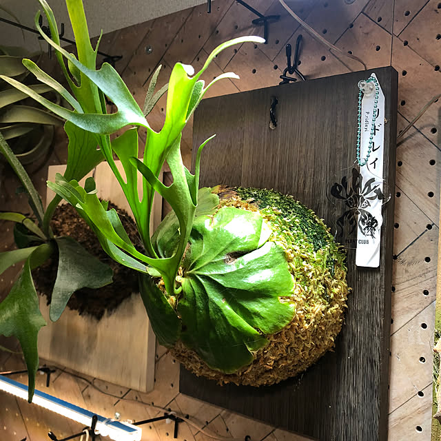 CoffeeHouseさんの部屋
