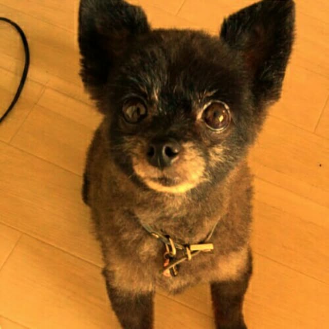 ariさんの実例写真