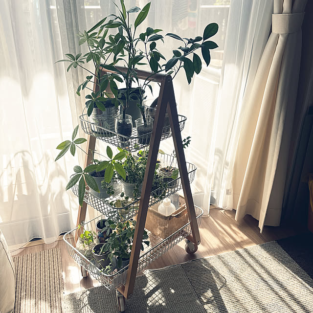 yoneさんの実例写真