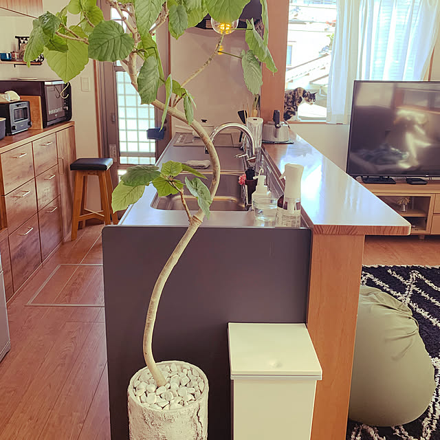 HiRoooさんの実例写真