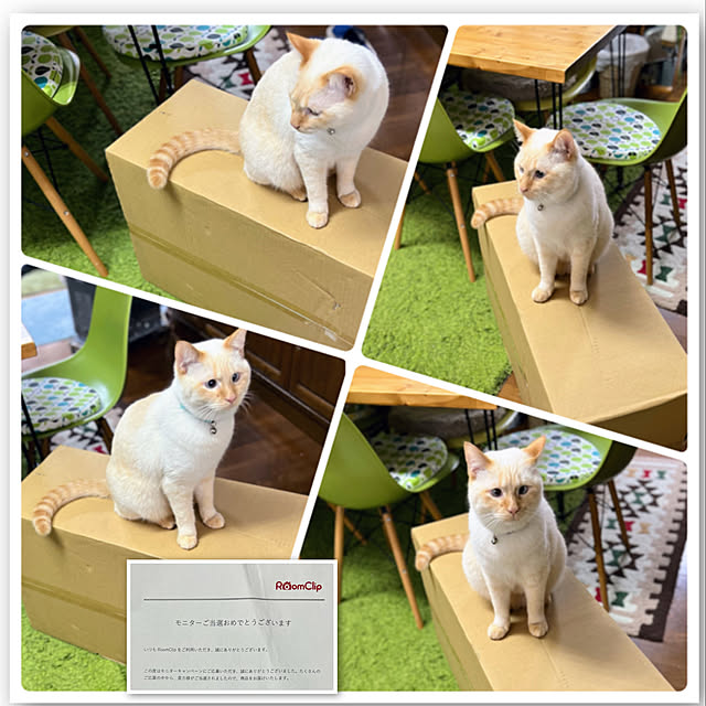 mohhaさんの実例写真