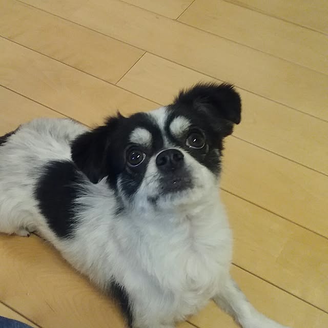 yukkoさんの実例写真