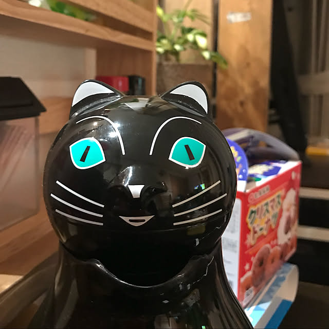 masatoさんの実例写真
