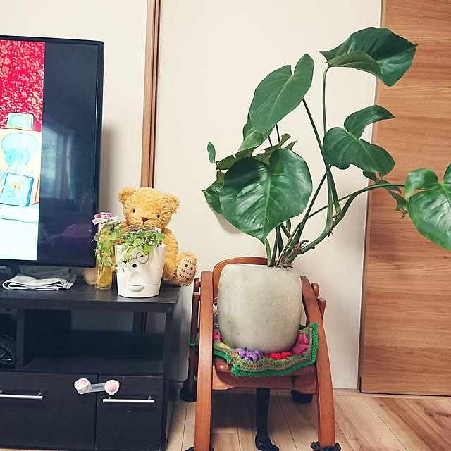 kotaroさんの実例写真