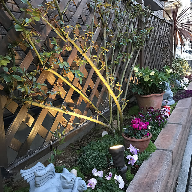 gin_mamaさんの実例写真