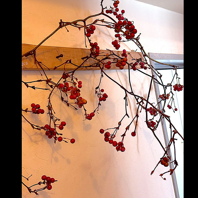 syutmmさんの実例写真