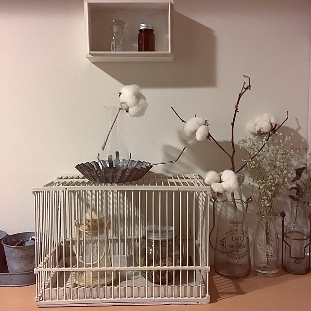 caolinpanさんの実例写真