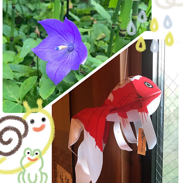 ankoさんの実例写真