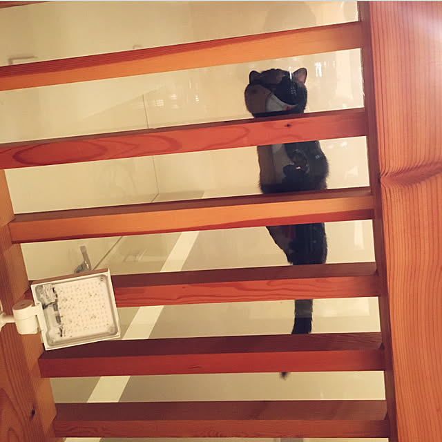 pitaさんの実例写真