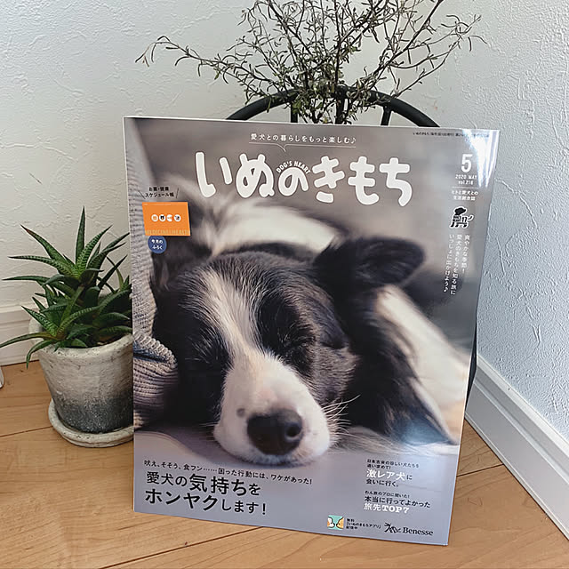 akko1205さんの実例写真