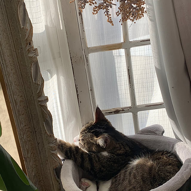 Rabbitさんの実例写真