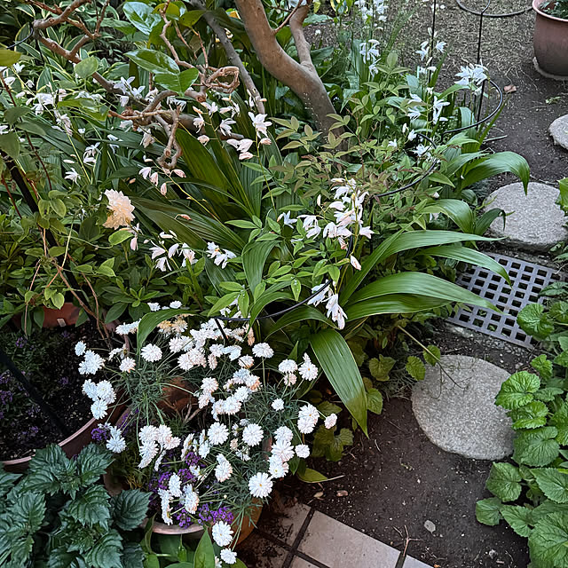 mamizaさんの部屋