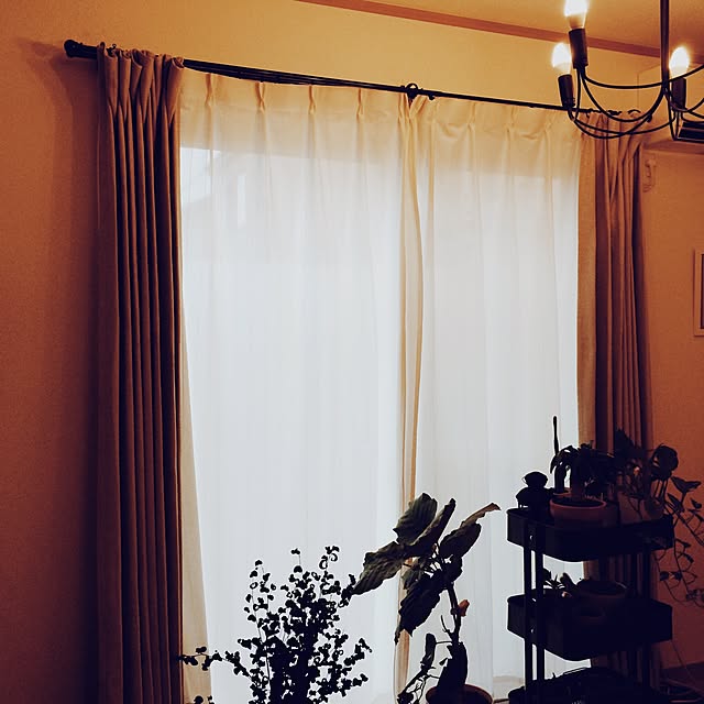 momonyさんの実例写真