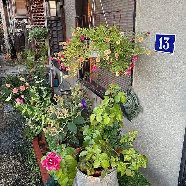 shin0719さんの部屋