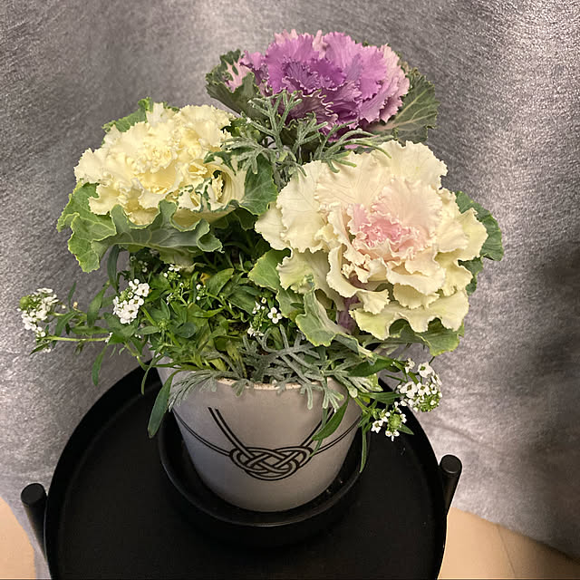 TOMoonさんの実例写真