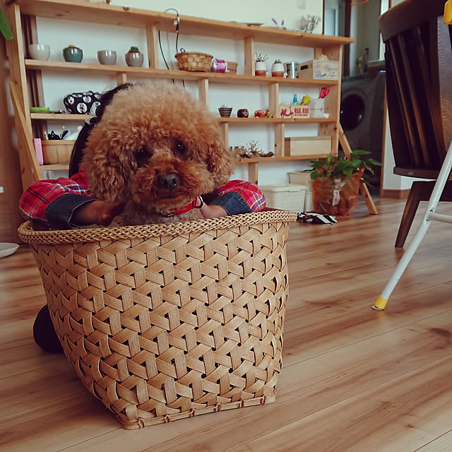 kotaroさんの実例写真