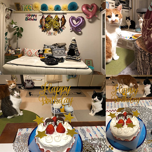 mikenekoさんの実例写真