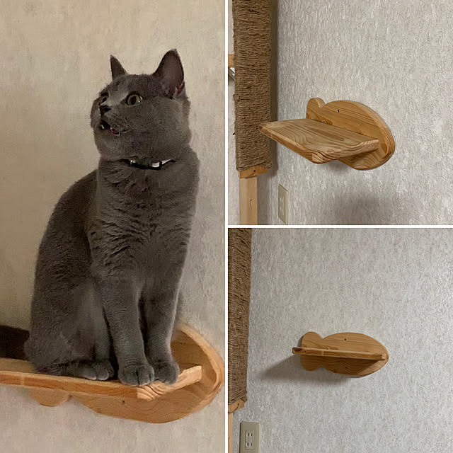 masaさんの実例写真
