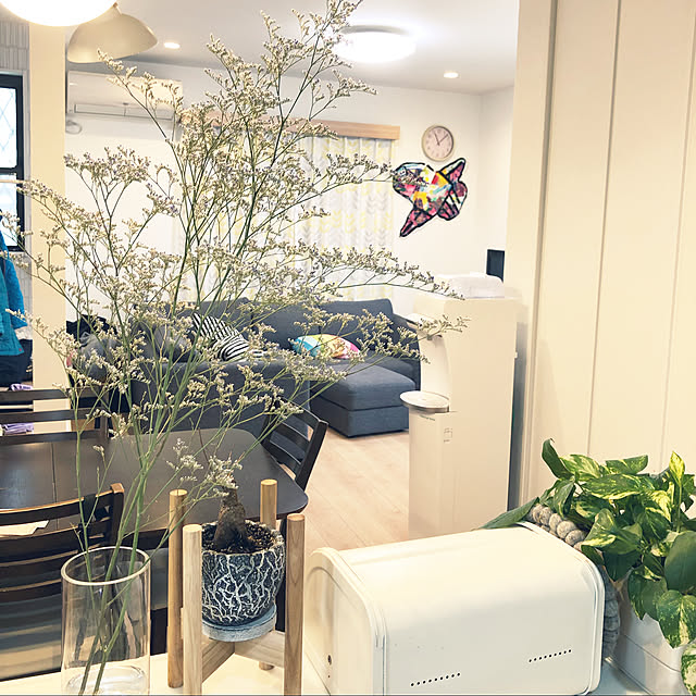 観葉植物/キッチンのインテリア実例 - 2021-10-21 13:05:02