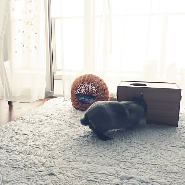 kirariさんの部屋