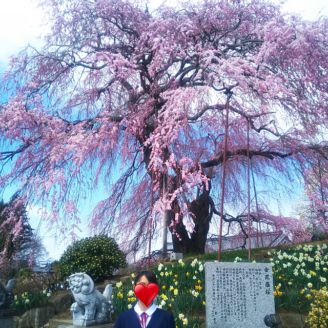 実例写真