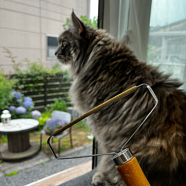 mayumiさんの実例写真