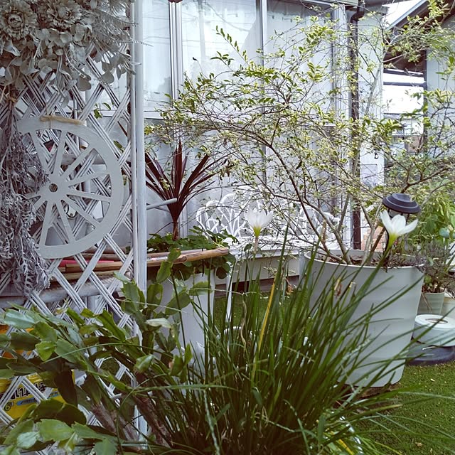 keikoさんの部屋