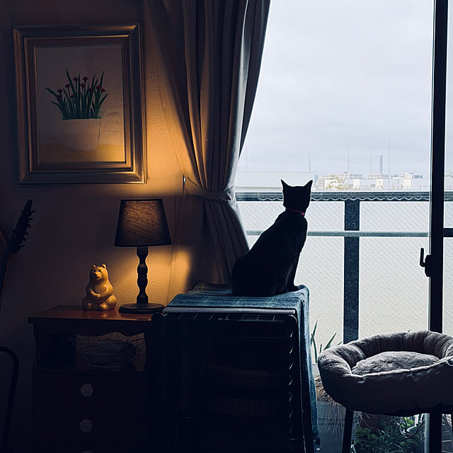 HR85さんの実例写真