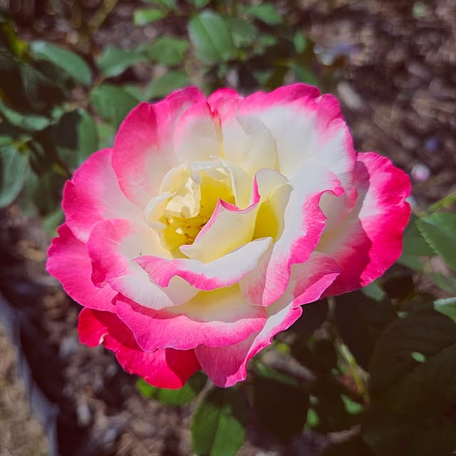 mocomocoさんの部屋