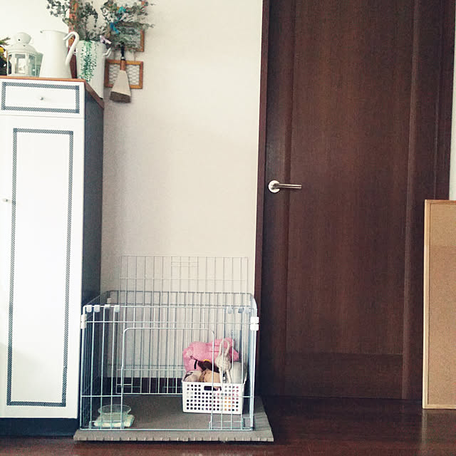 kikiさんの実例写真
