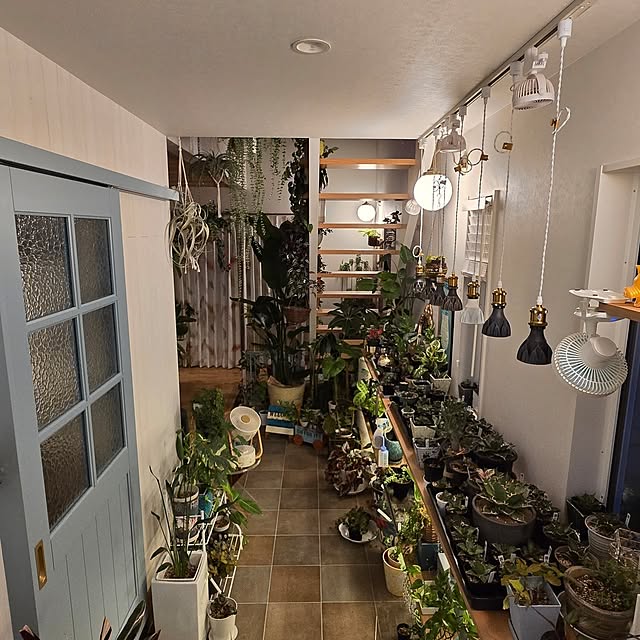 nonbiri_house_さんの部屋