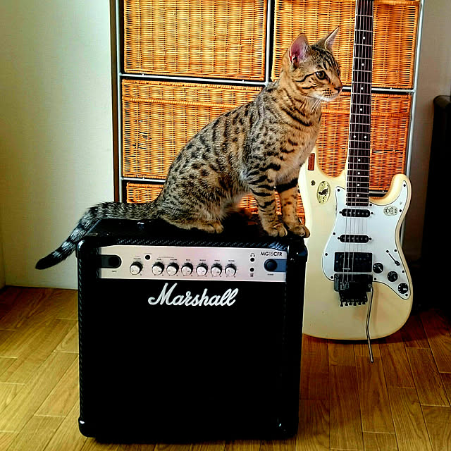 ken.kawakamiさんの実例写真