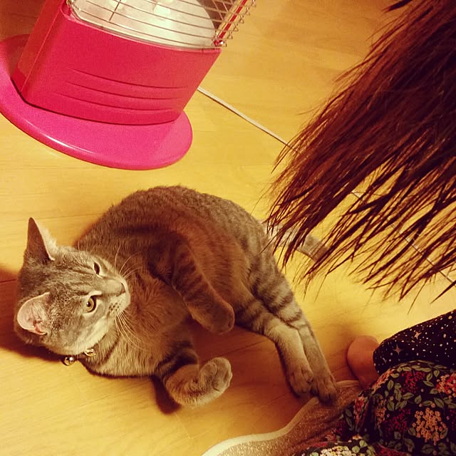 oyumiさんの実例写真