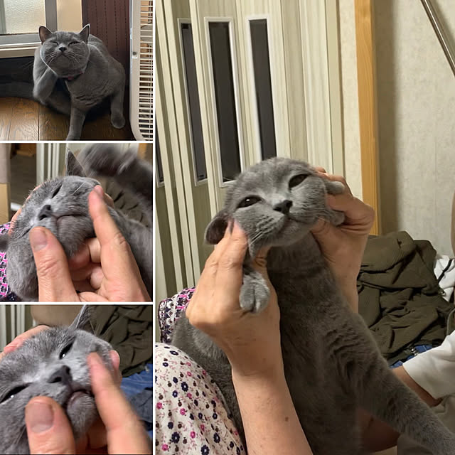 masaさんの実例写真