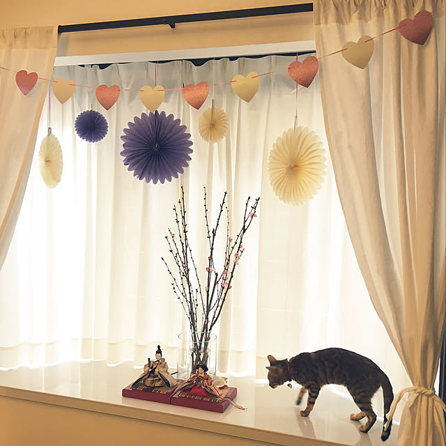 ねこと暮らす/ねこ/お雛様/おひなさま2019/リビングのインテリア実例 - 2019-03-10 13:15:08