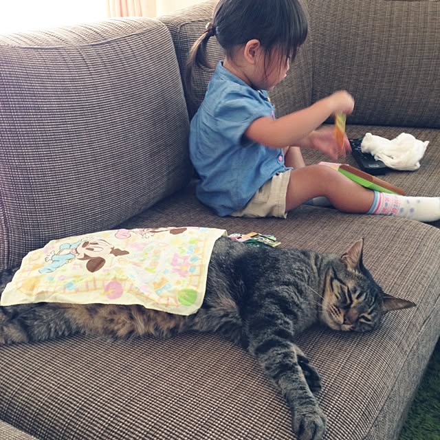 umiさんの実例写真