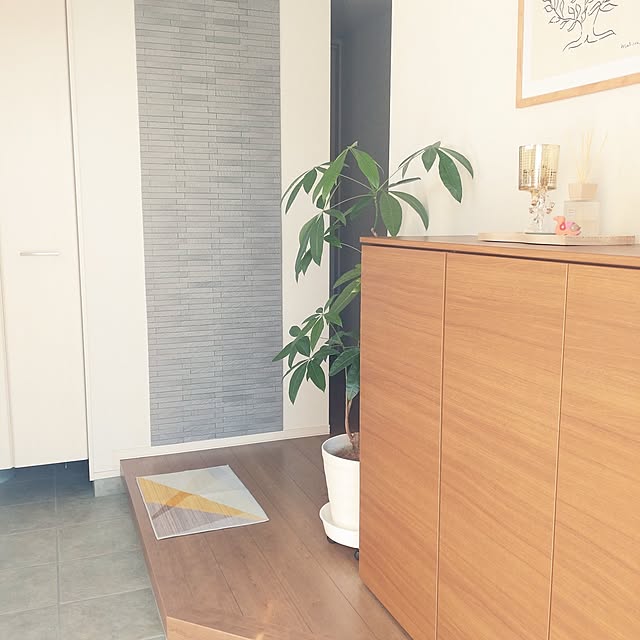 tan5さんの部屋