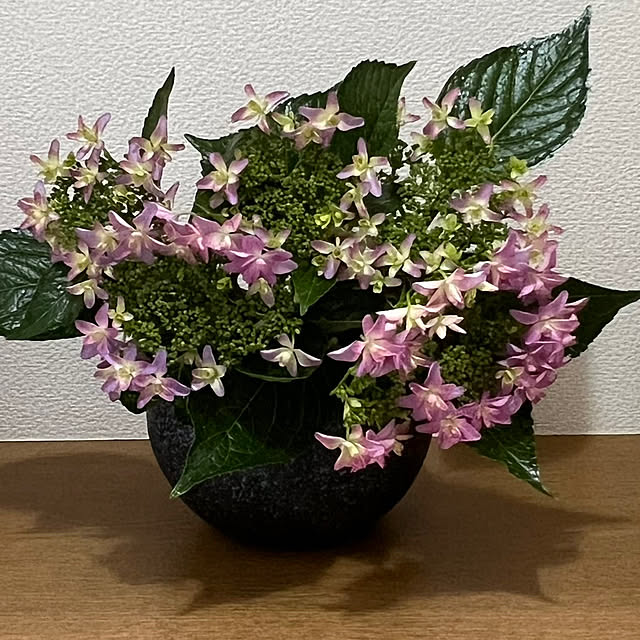 nannoさんの部屋