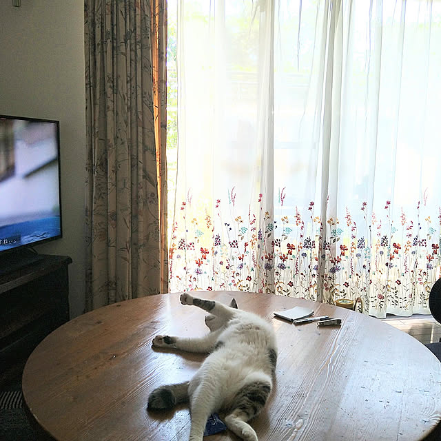 okyosan101さんの実例写真