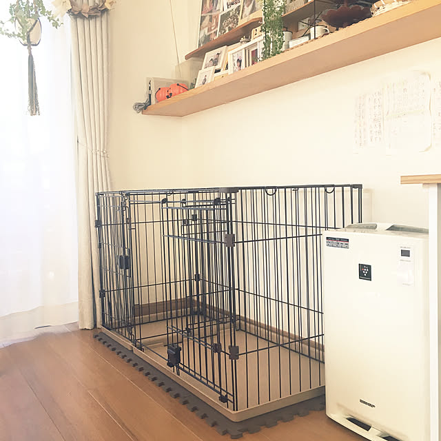goro_wanさんの実例写真