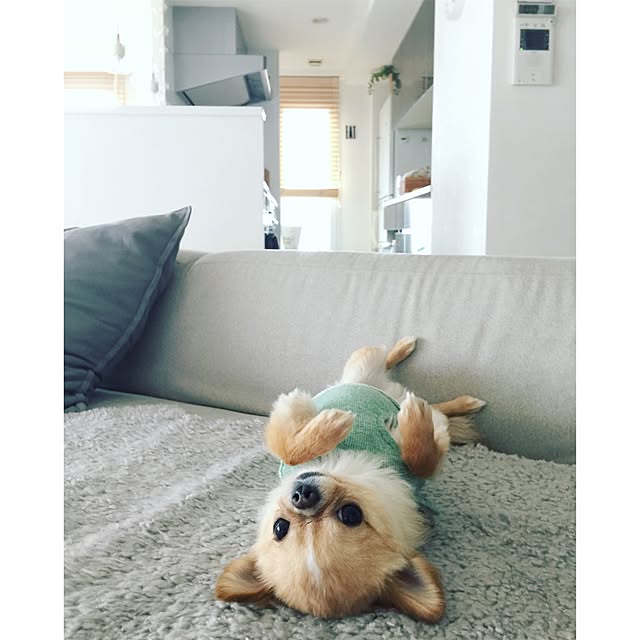 haruhinaさんの実例写真