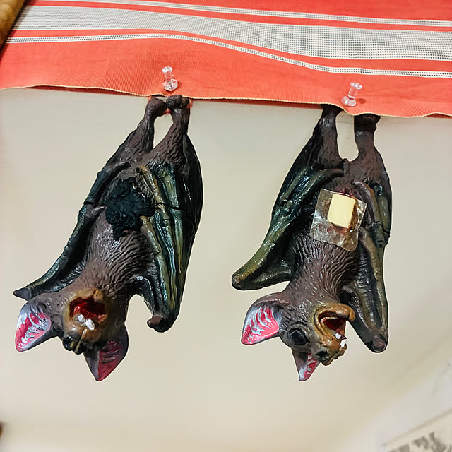 takakuzenさんの実例写真