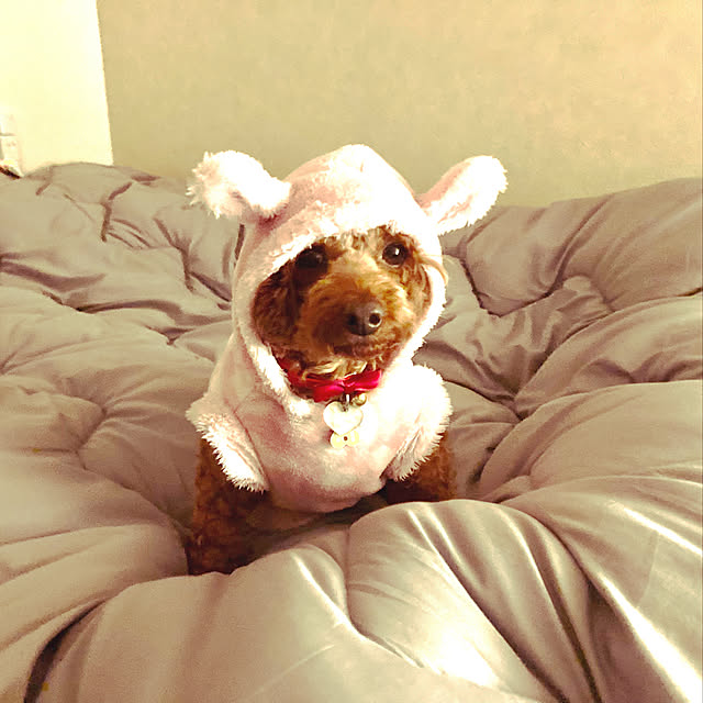 MOMOMAMAさんの実例写真