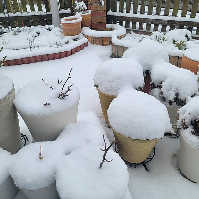 VIORAさんの部屋