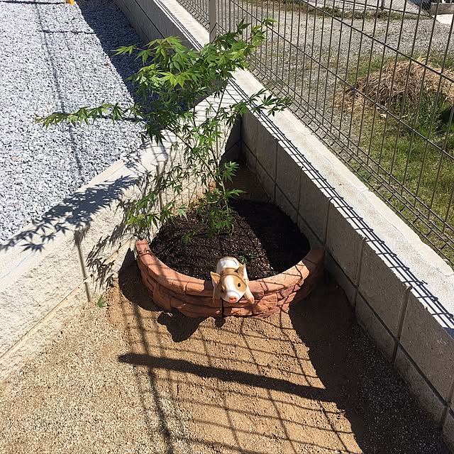 Aayyaaさんの実例写真