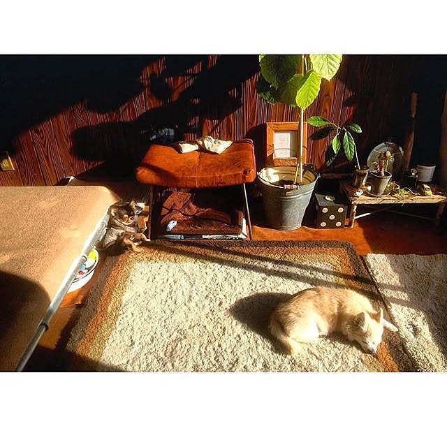 88さんの実例写真