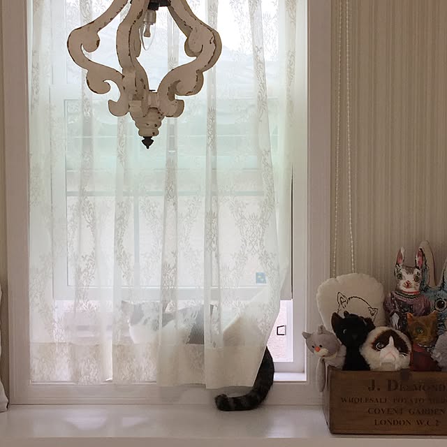 yuchiさんの実例写真