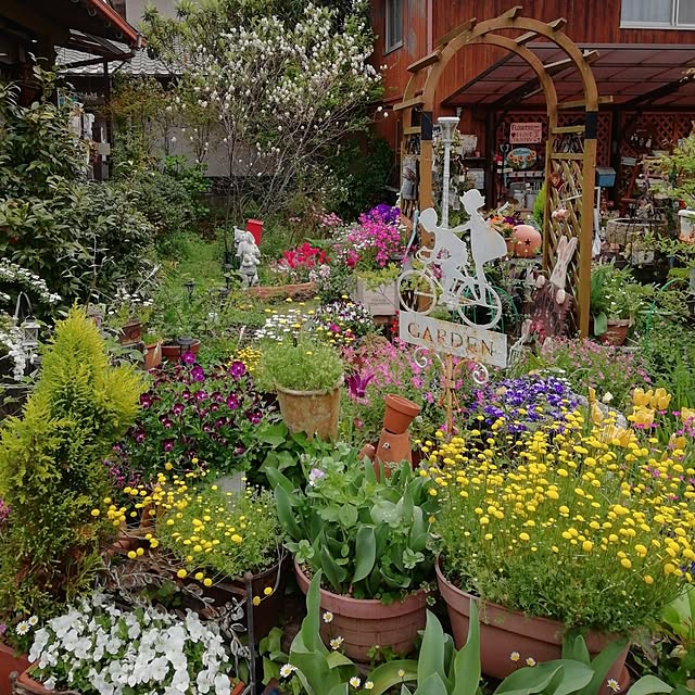 haruiroさんの実例写真