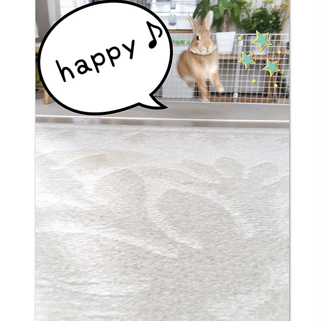 Michiさんの実例写真