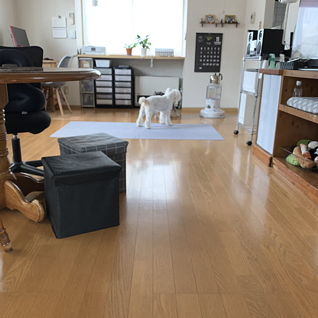 Mahoさんの実例写真